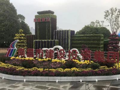 以菊为媒 以花为介 展现服务都会与生长之宗旨——市壹定发集团参展南昌市第三十四届菊花展